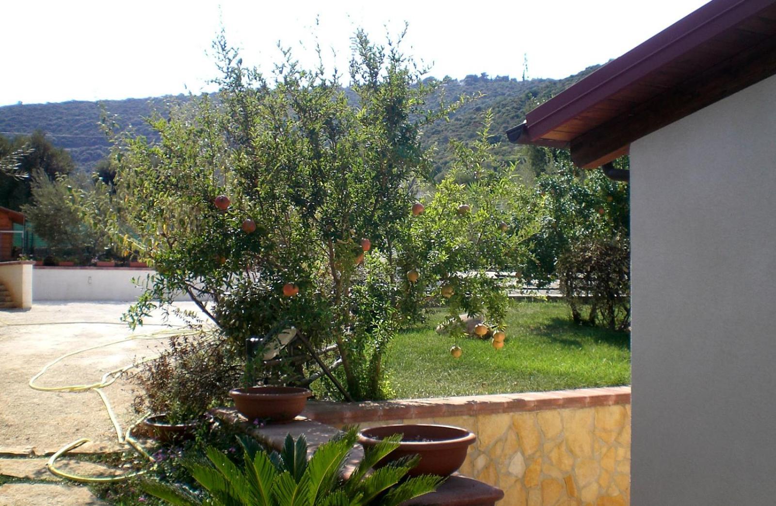 Bed And Breakfast La Casetta Monopoli Εξωτερικό φωτογραφία