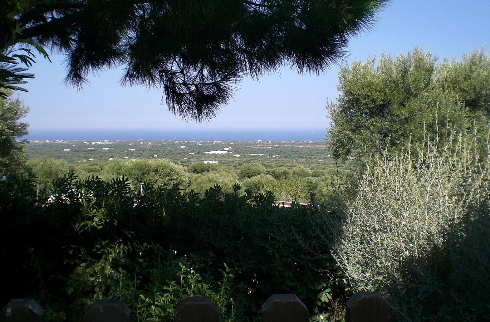 Bed And Breakfast La Casetta Monopoli Εξωτερικό φωτογραφία