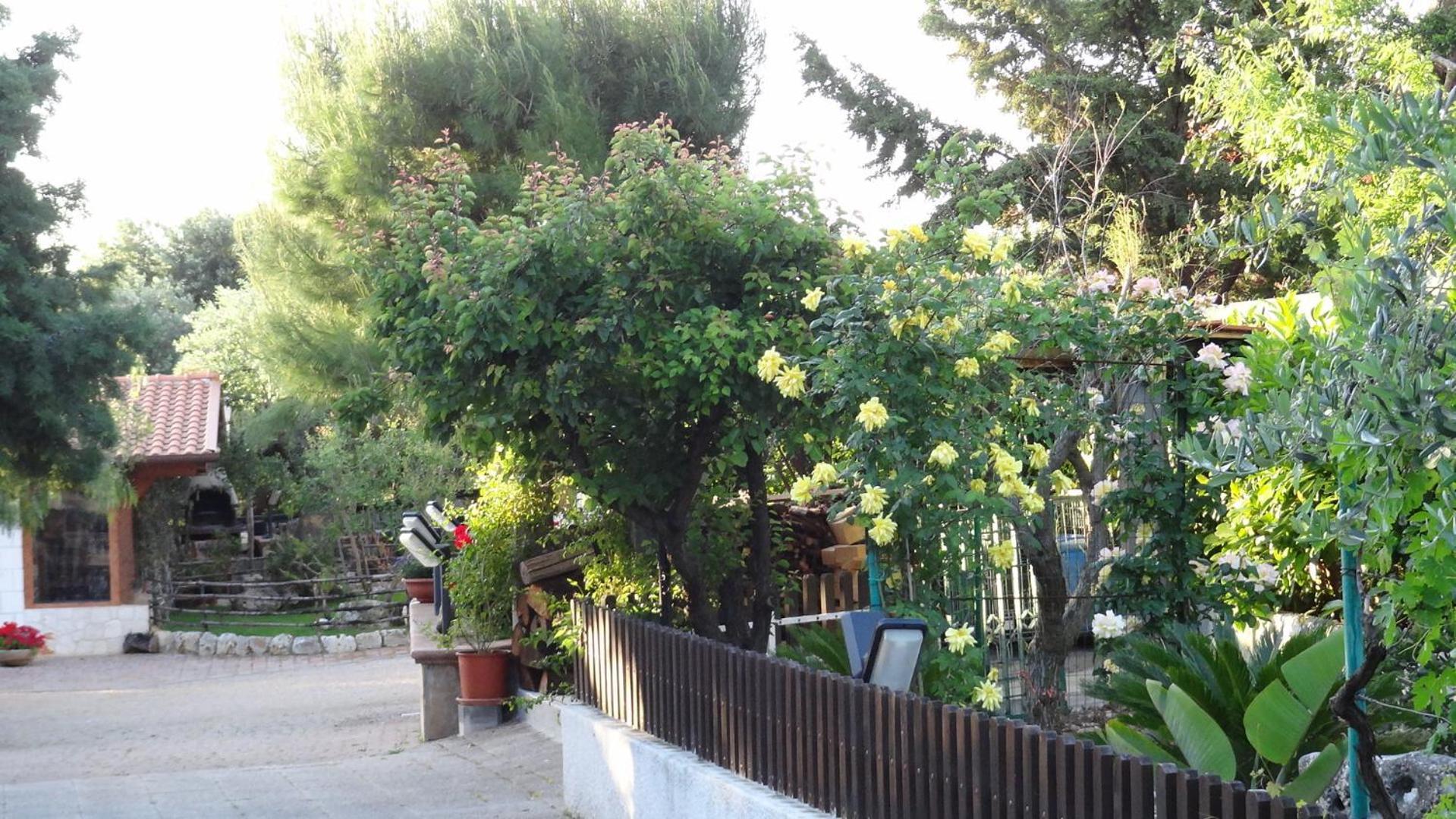 Bed And Breakfast La Casetta Monopoli Εξωτερικό φωτογραφία
