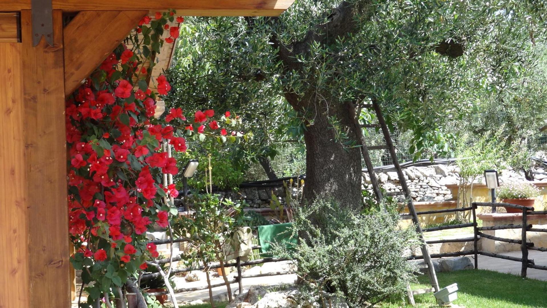Bed And Breakfast La Casetta Monopoli Εξωτερικό φωτογραφία