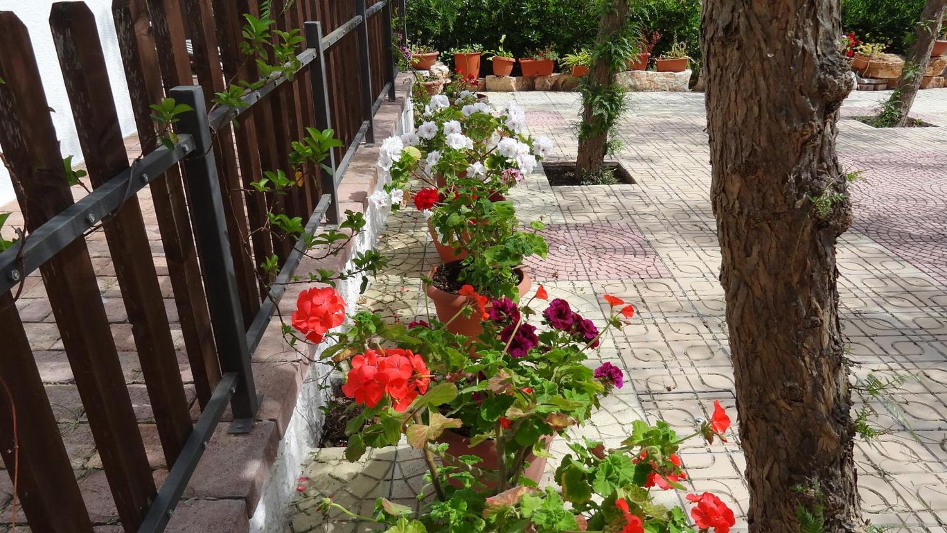 Bed And Breakfast La Casetta Monopoli Εξωτερικό φωτογραφία