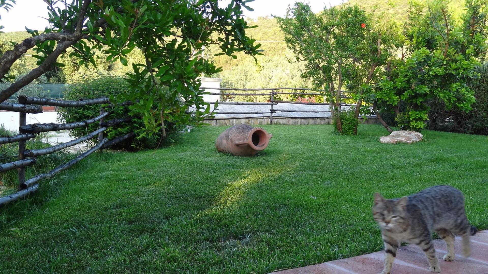Bed And Breakfast La Casetta Monopoli Εξωτερικό φωτογραφία